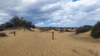 2023-GC--Mapalomas dunas-S123-008.jpg